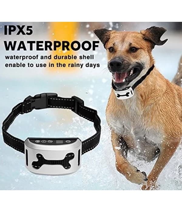 havlama tasmas ss682 1 600x7004