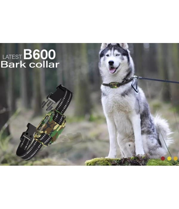 havlama onleyici kopek egitim tasmasi b600 5 600x7003